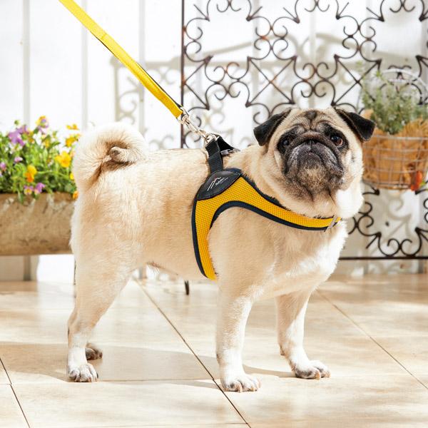 ハクサン イージーコンフォートハーネス 小型犬用 中型犬用 犬用ハーネス ペット用品の通販サイト ペピイ Peppy