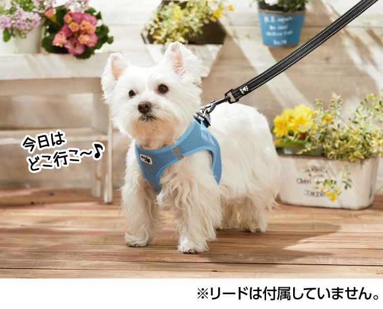 カーリー エアメッシュハーネス ハーネス ペット用品の通販サイト ペピイ Peppy