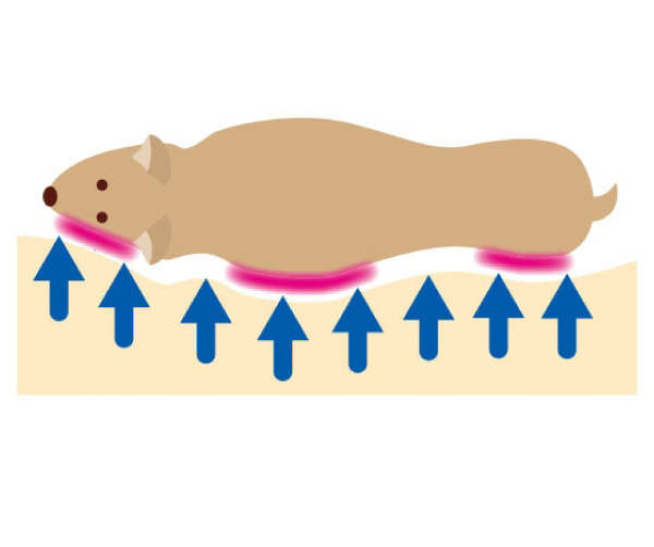 エクスジェルマット (犬 床ずれ予防)｜ ペット用品の通販サイト