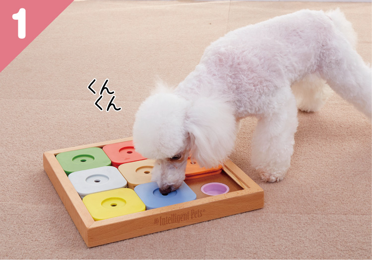 Dog′SUDOKU スライドパズル カラフル｜ 犬用おもちゃ｜ ペット用品の通販サイト ペピイ（PEPPY）