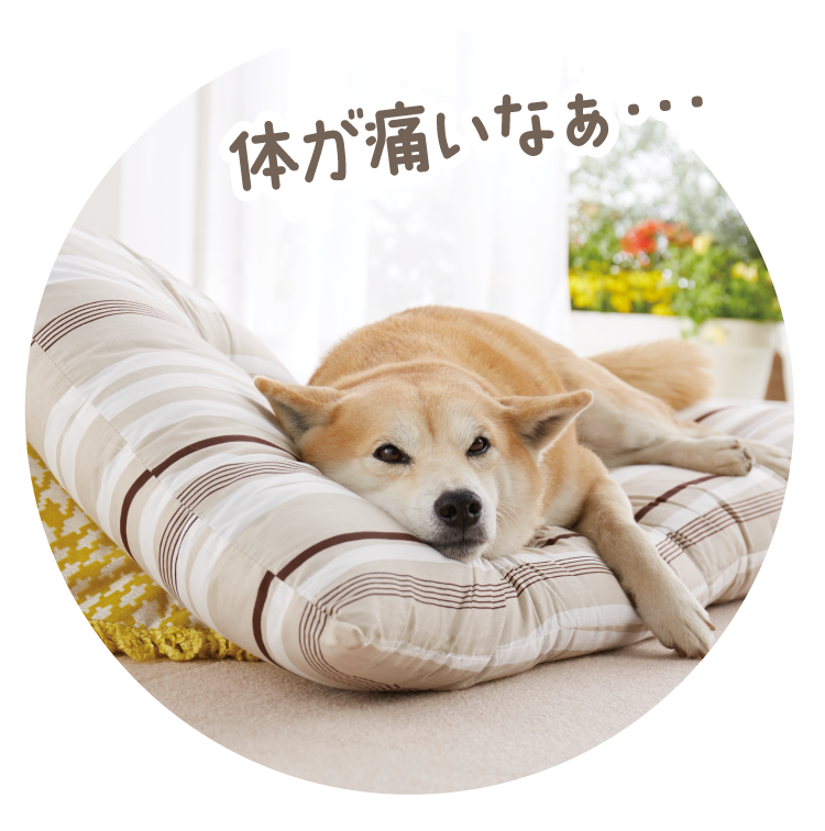 王様のらくすや (老犬 床ずれ防止 寝たきり予防)｜ 看護・食事補助｜ ペット用品の通販サイト ペピイ（PEPPY）