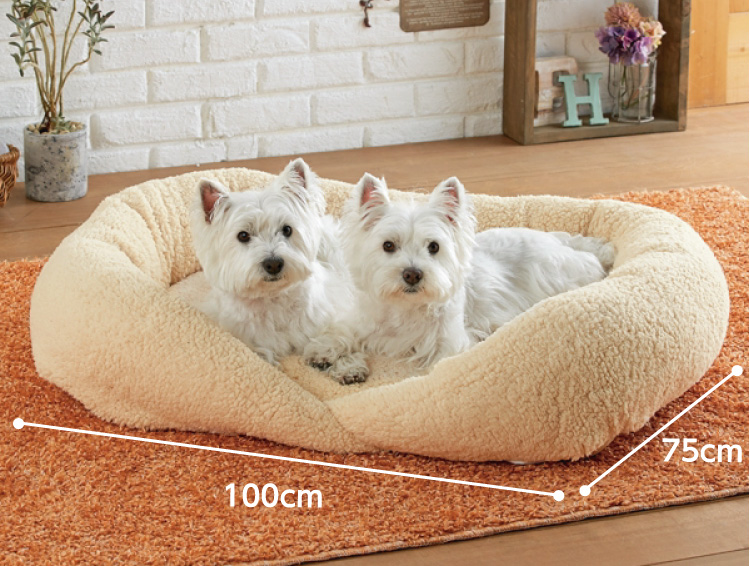 PEPPY 抗菌防臭ふんわりスクエアベッド　犬用ベッドSサイズ 抗菌防臭ふんわりスクエアベッド｜ ペット用品の通販サイト