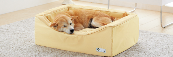 PEPPY 犬用ベッド· スクエアカドラー・防水 新品 スクエアカドラー＋クッション・防水｜ ペット用品の通販サイト ペピイ