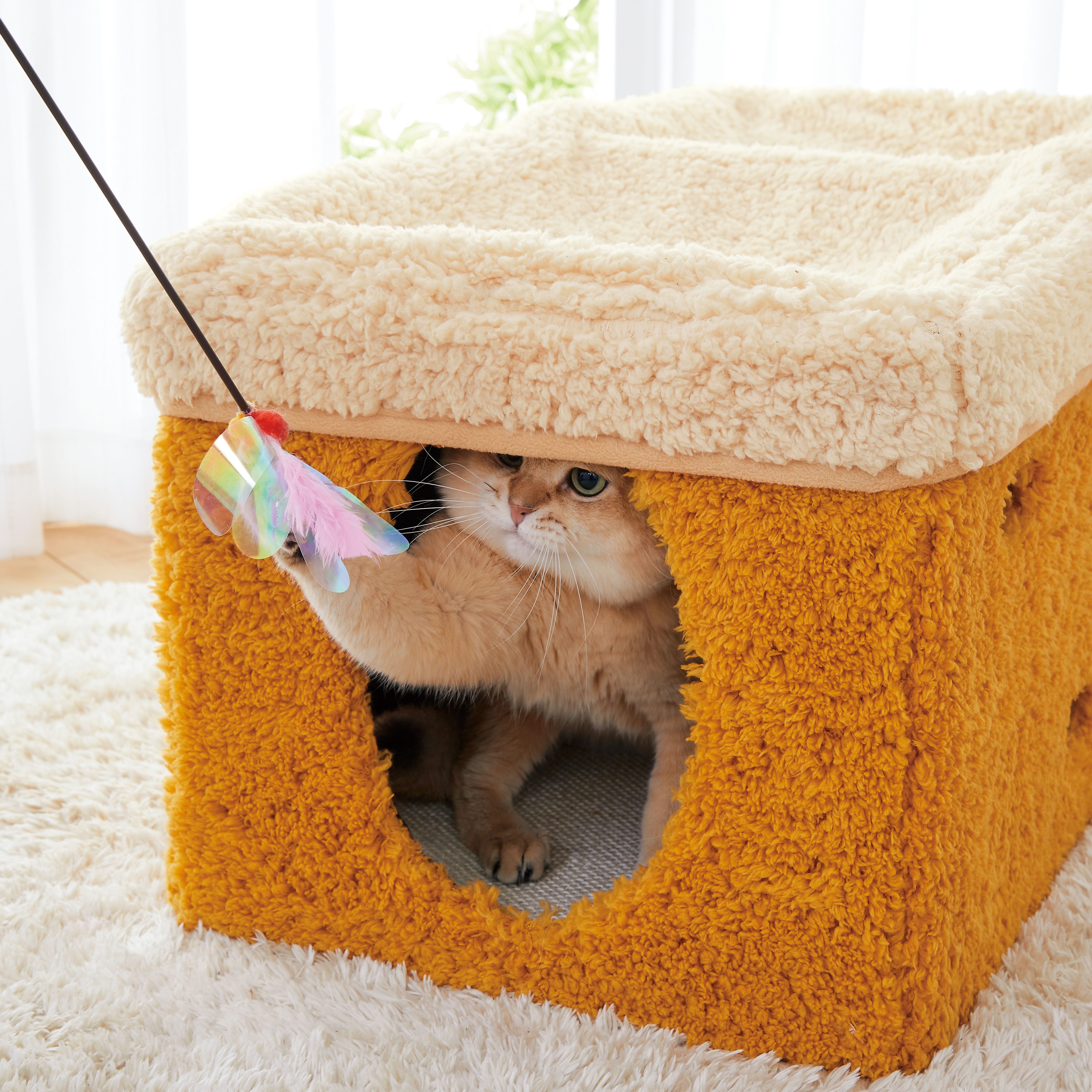 木製大型コンガ 動物皮ヘッド アマブロ amabro ウッド アニマル ヘッド