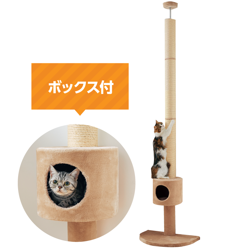 おうちで木登りキャットタワー (突っ張り型)｜ 突っ張りタイプ｜ ペット用品の通販サイト ペピイ（PEPPY）