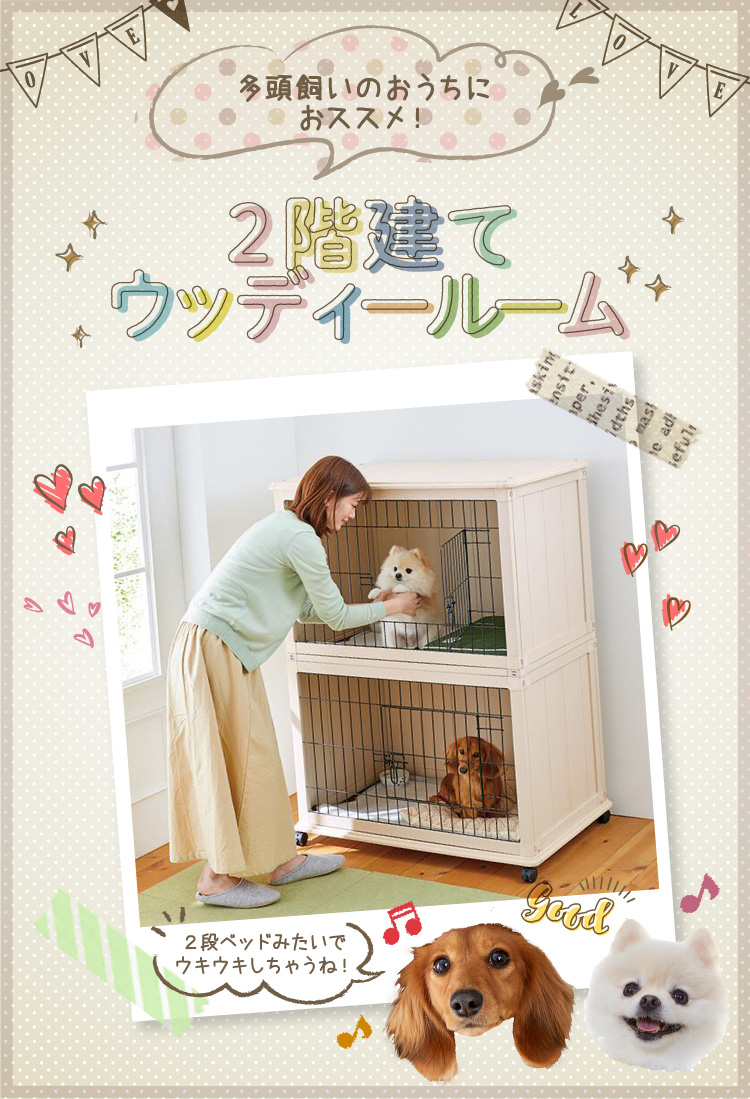 オフクーポン付 【新品】犬 ケージ 2段 多頭飼い 犬舎 www