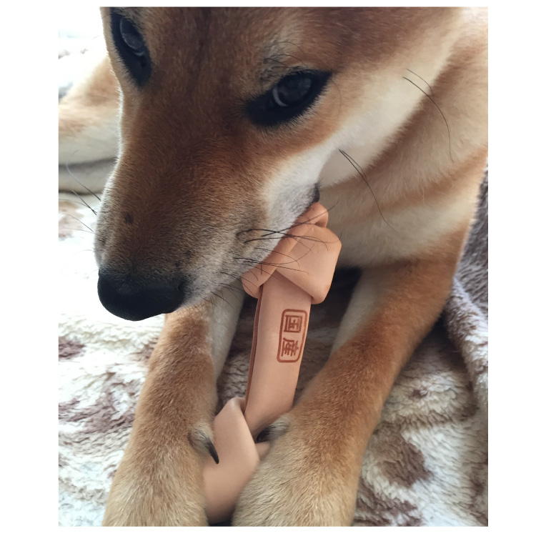 国産セーフハイド （犬 噛む 革製おもちゃ）｜ ペット用品の通販サイト
