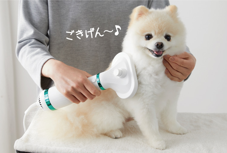 ペット用ブラッシングドライヤー｜ ペット用品の通販サイト ペピイ