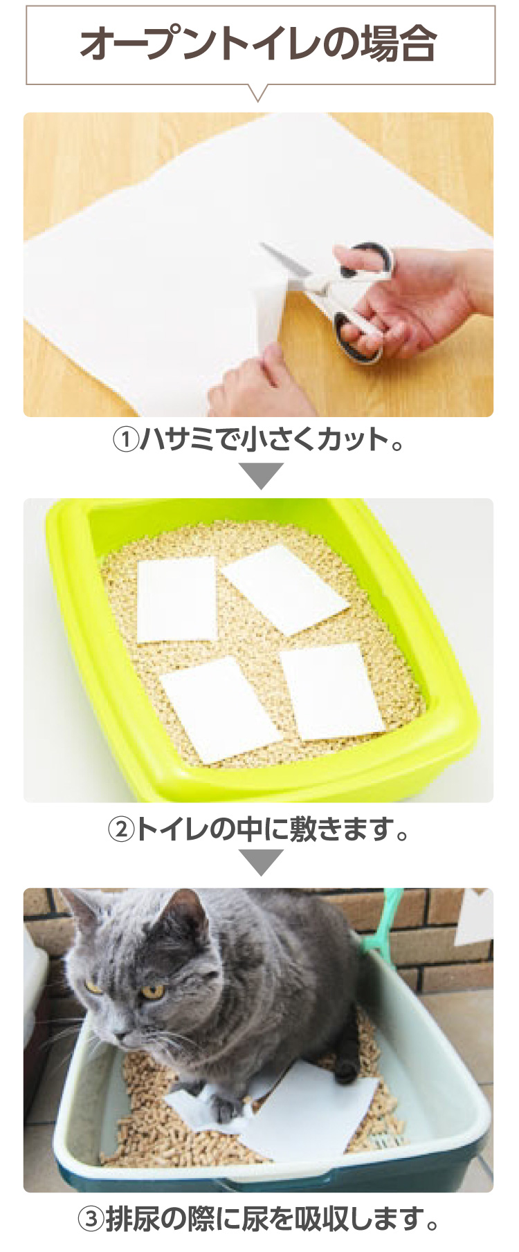 ＊ちびっこ＊ページ【内容ご確認ください】 すみっコぐらし【公式】 on X: 