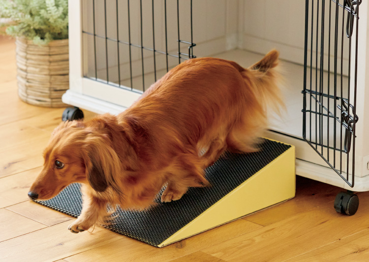 Hakusan ドッグスロープ ケース付き 【公式通販】