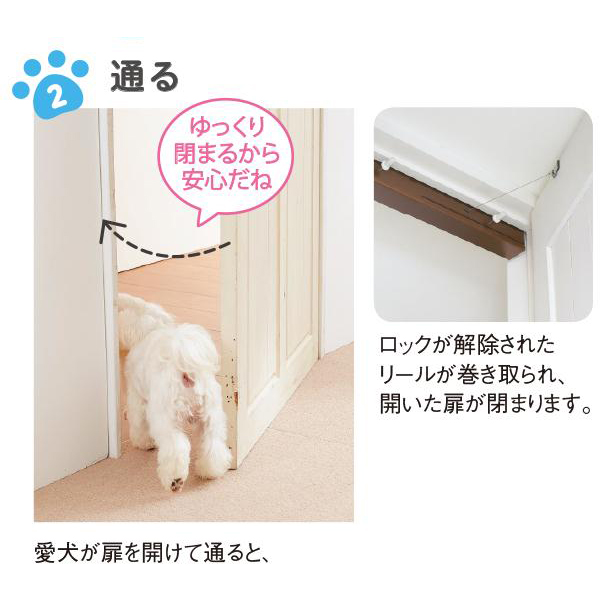 わんにゃんフリーパス ワンタッチ開閉ドアヘルパー ペットドア ゲート ペット用品の通販サイト ペピイ Peppy