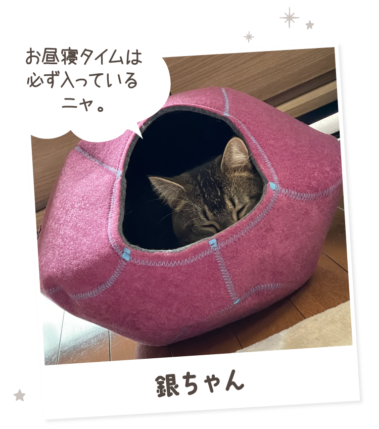 キャットケイブ｜ 猫用ベッド（布団）｜ ペット用品の通販サイト ペピイ（PEPPY）