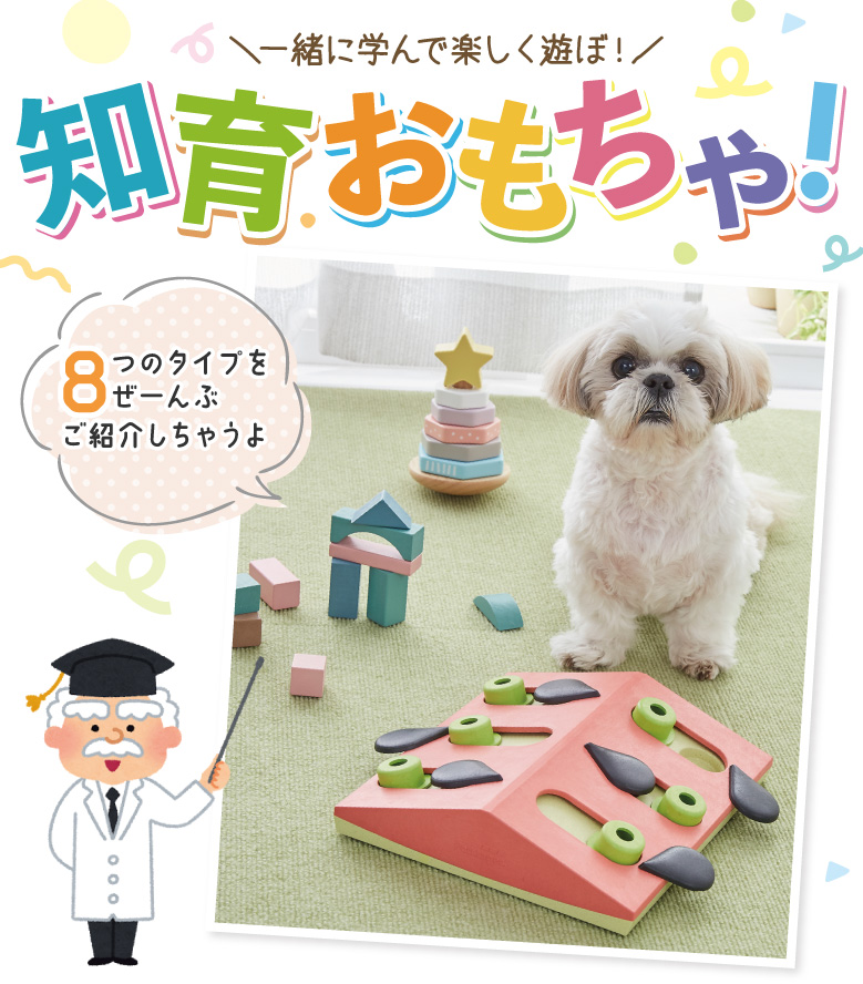 ニーナ・オットソン トリーツトイ(知育玩具)｜ 犬用おもちゃ｜ ペット