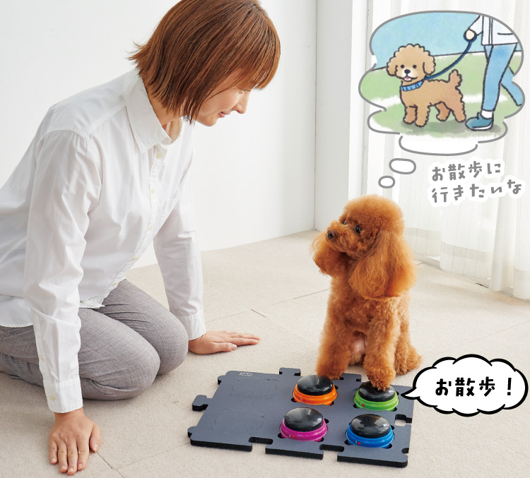 おしゃべり録音ボタン｜ ペット用品の通販サイト ペピイ（PEPPY）