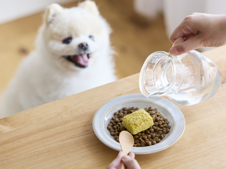 わんごはんのおとも フリーズドライ｜ ペット用品の通販サイト ペピイ