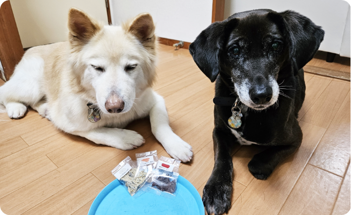 広島産 鶏レバージャーキー(PEPPY LIFE 犬おやつシリーズ)｜ ペット
