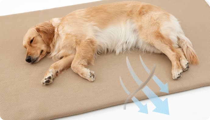 旧：眠る時間が増えてきた子の高反発マット｜ ペット用品の通販サイト