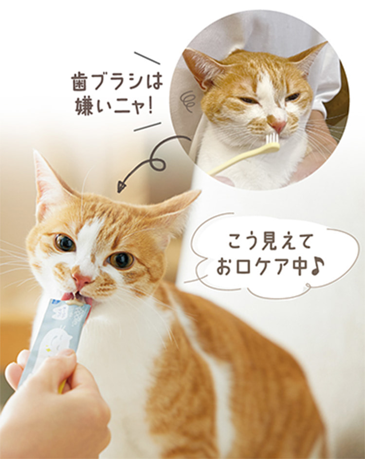 Sippole にゃろみ L8020（オーラルケア）｜ ペット用品の