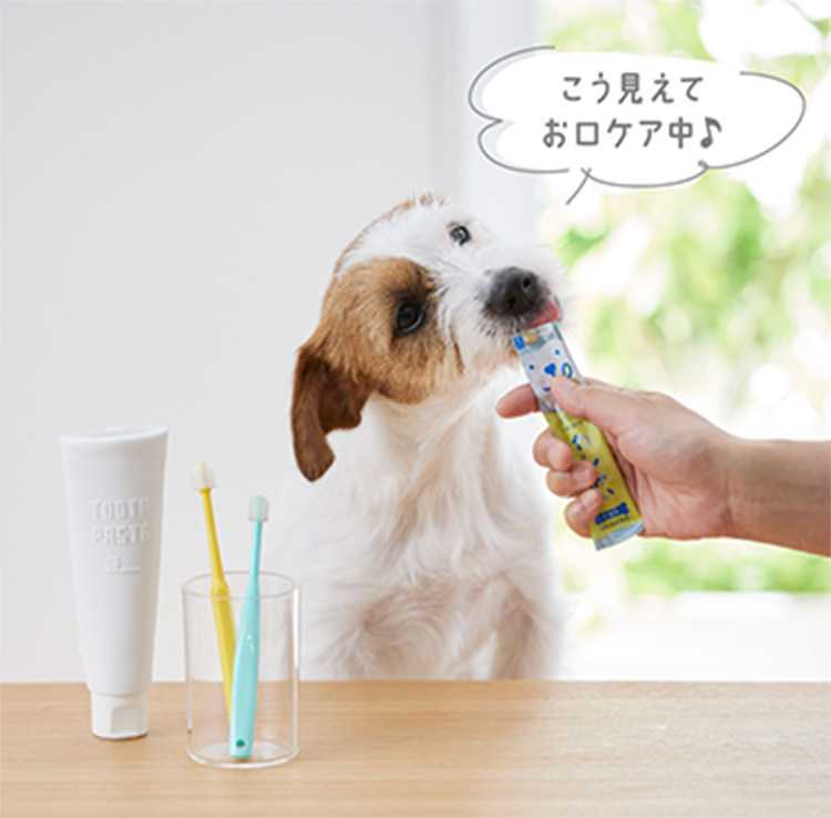 Amazon.co.jp: 犬 歯磨きおやつ Sippole わんみぃ L8020