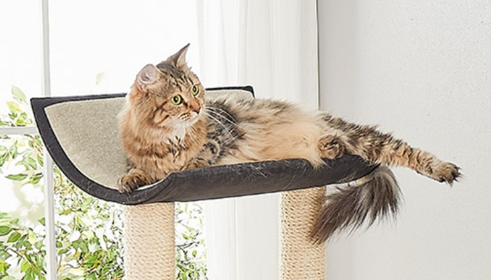 キャットタワー シエロ（高さ141cm 据え置き型 日本製 大型猫