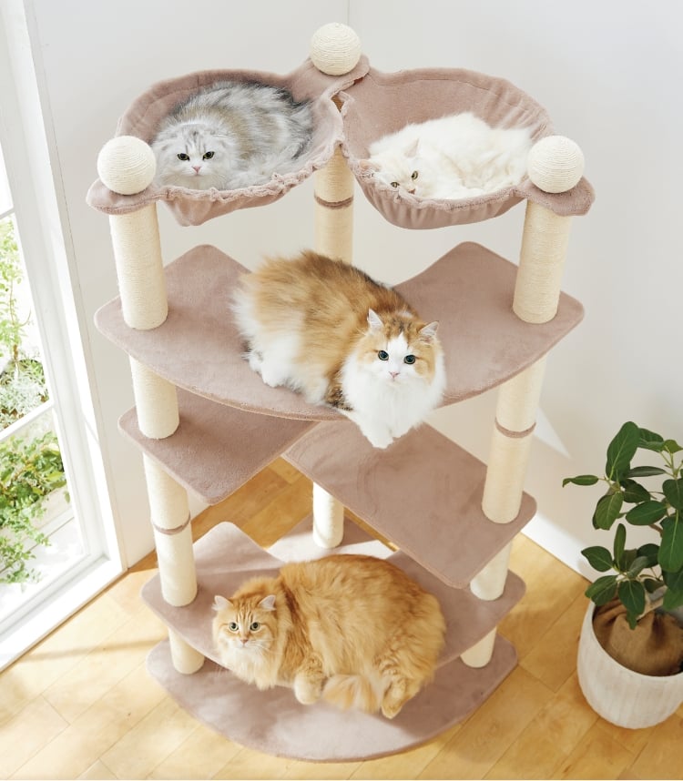キャットタワー　185cm　据え置き　爪とぎ　猫 大型　多頭飼い　ブラウン キャットタワー 185cm 据え置き 爪とぎ 猫 大型 多頭飼い ブラック