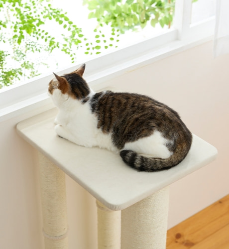 キャットスクラッチポール (爪とぎタワー 高さ85cm)｜ ペット