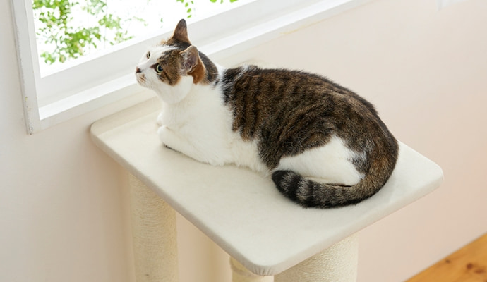 キャットスクラッチポール (爪とぎタワー 高さ85cm)｜ ペット