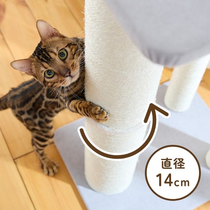 四季 耐スクラッチキャットポール スタンド型キャットタワー 猫用おもちゃ キャットスクラッチポール (爪とぎタワー 高さ85cm)｜ ペット