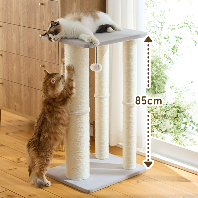 キャットスクラッチポール (爪とぎタワー 高さ85cm)｜ ペット