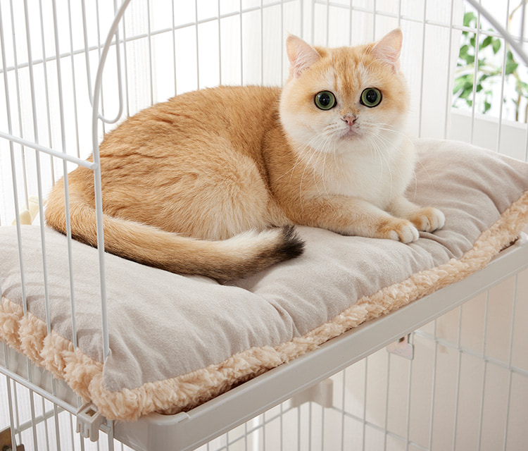 ケージ用リバーシブルベッド｜ ペット用品の通販サイト ペピイ（PEPPY）