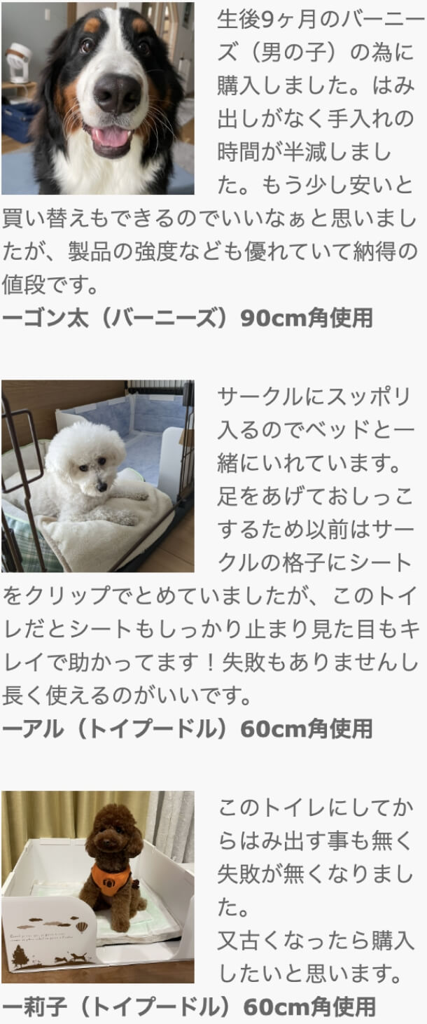 Amazon | はみだし飛び散りを防ぐ囲い付きトイレ 60cm角 犬