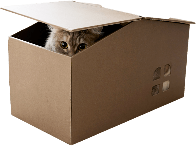 究極の猫の隠れ家｜ ペット用品の通販サイト ペピイ（PEPPY）