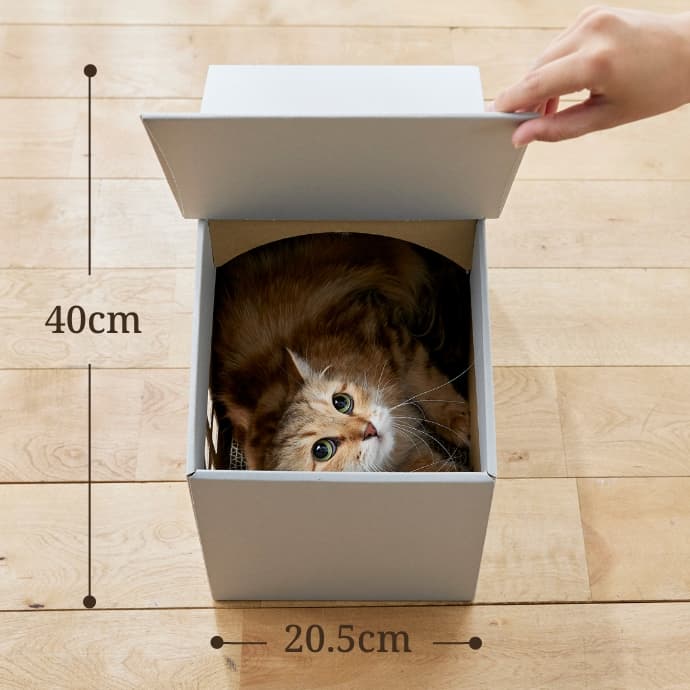 究極の猫の隠れ家｜ ペット用品の通販サイト ペピイ（PEPPY）