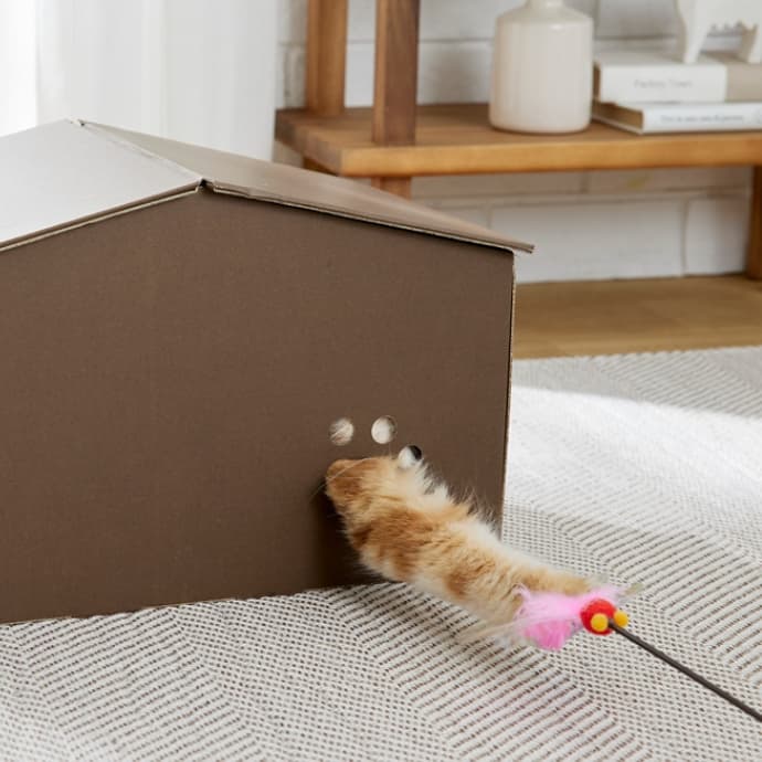 究極の猫の隠れ家｜ ペット用品の通販サイト ペピイ（PEPPY）