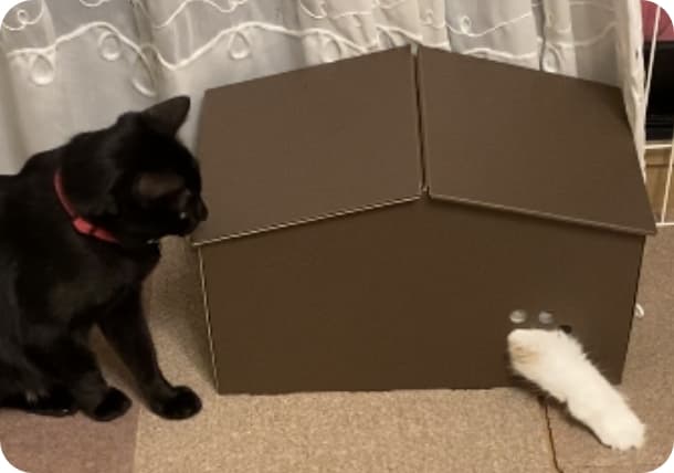 究極の猫の隠れ家｜ ペット用品の通販サイト ペピイ（PEPPY）