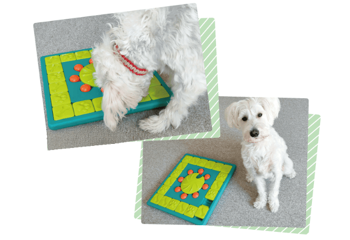 ニーナ・オットソン トリーツトイ(知育玩具)｜ ペット用品の通販サイト