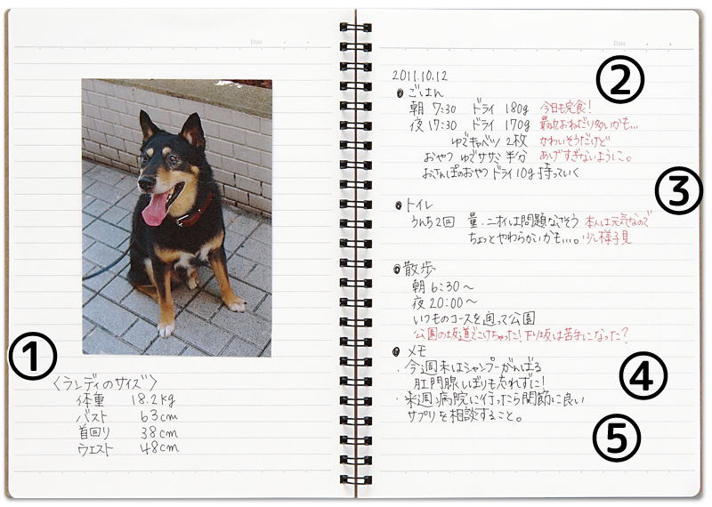 愛犬の記録帳見本