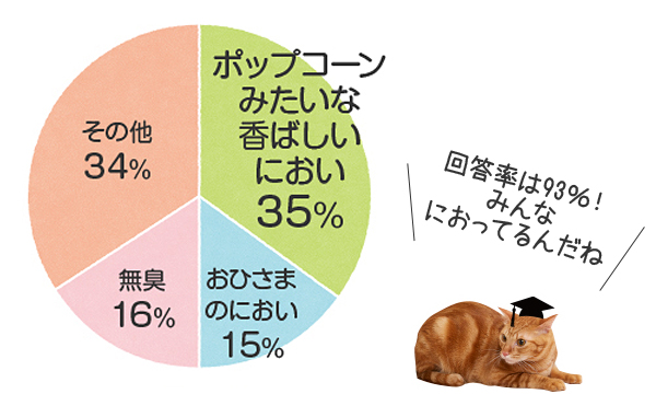 ぷにぷに肉球の魅力のヒミツを大研究 ペット用品の通販サイト ペピイ Peppy