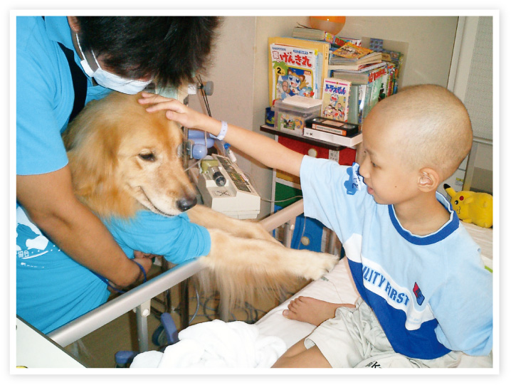 日本動物病院協会は、社会に貢献する取り組みのひとつとして、CAPP活動を行なっています