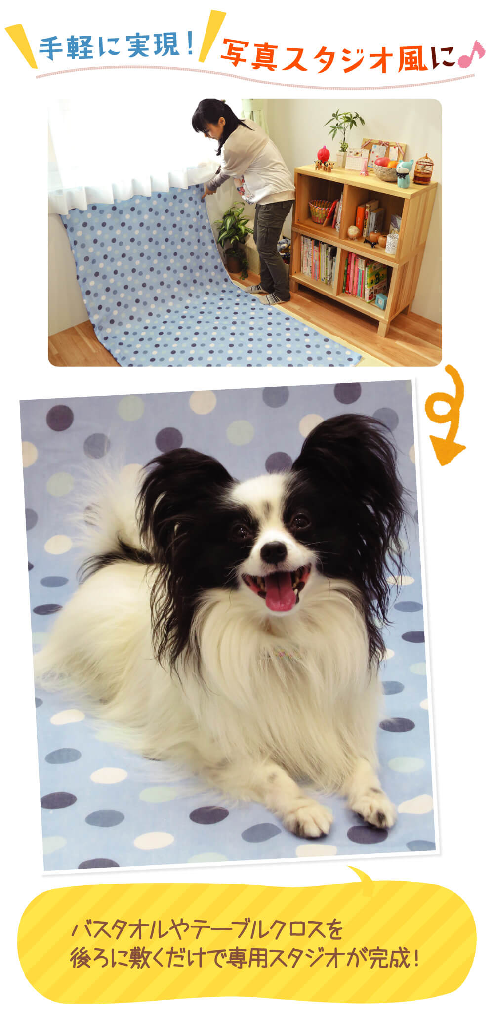 主役はうちの子！簡単♪カメラ講座 - ペット用品の通販サイト ペピイ