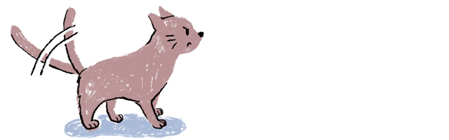 猫の気持ちがわかる しっぽの役割と使い方で猫の気持ちを知る方法を獣医師が伝授 ペット用品の通販サイト ペピイ Peppy 猫の気持ちがわかる しっぽの役割と使い方で猫の気持ちを知る方法を獣医師が伝授 ペット用品の通販サイト ペピイ Peppy