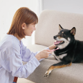 【愛玩動物看護師監修】諦めなくても大丈夫！成犬から始める歯磨き