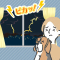 犬が雷や花火など大きな音を怖がる理由とその対処法！