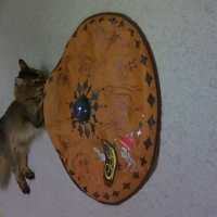 チューゲット
