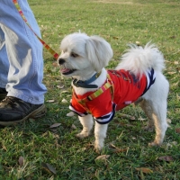 パルトゥ　ネームカラー