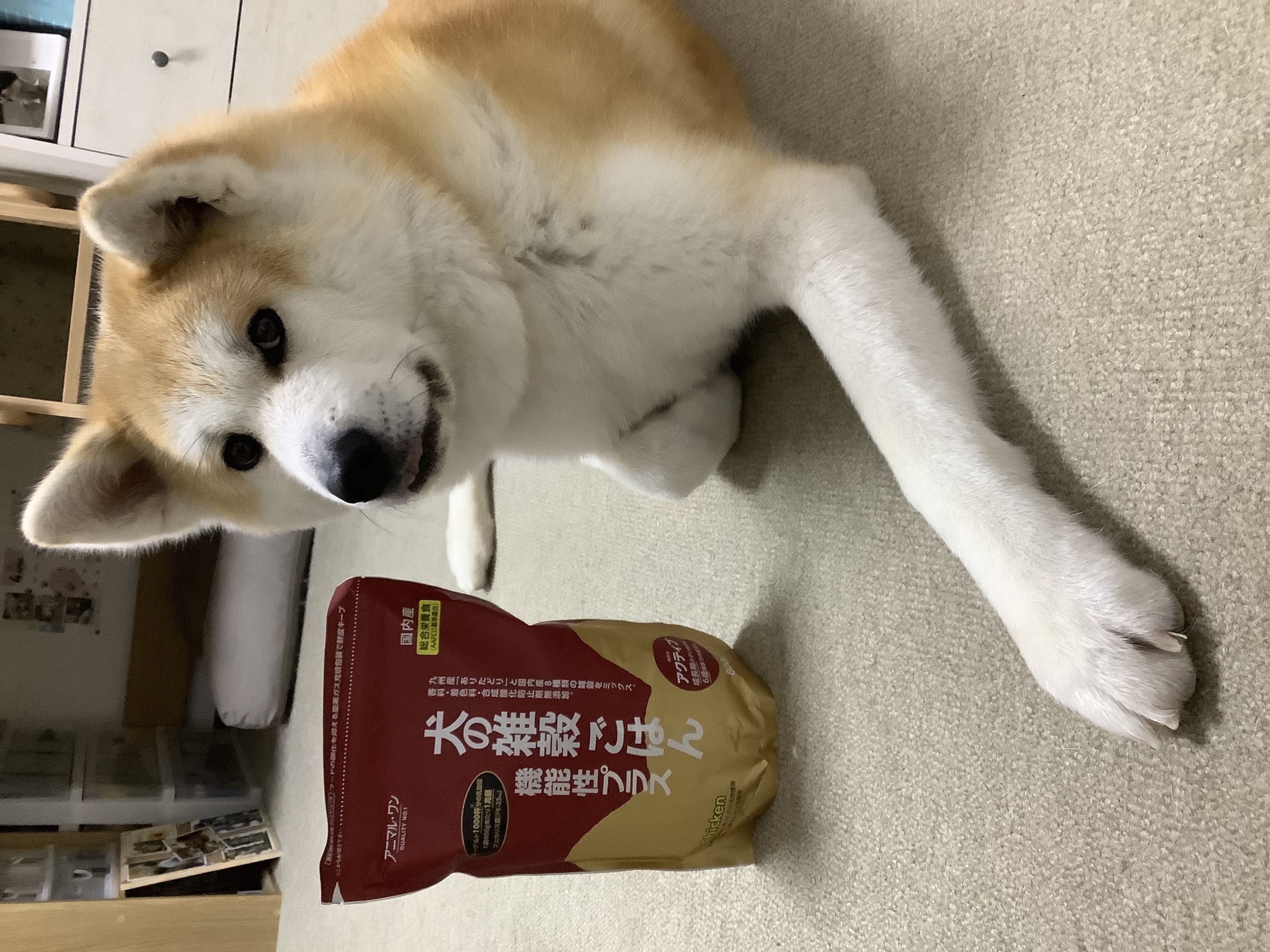口コミ レビュー 犬の雑穀ごはん 機能性アクティブチキン 犬用ドライフード プレミアムフード ペット用品の通販サイト ペピイ Peppy