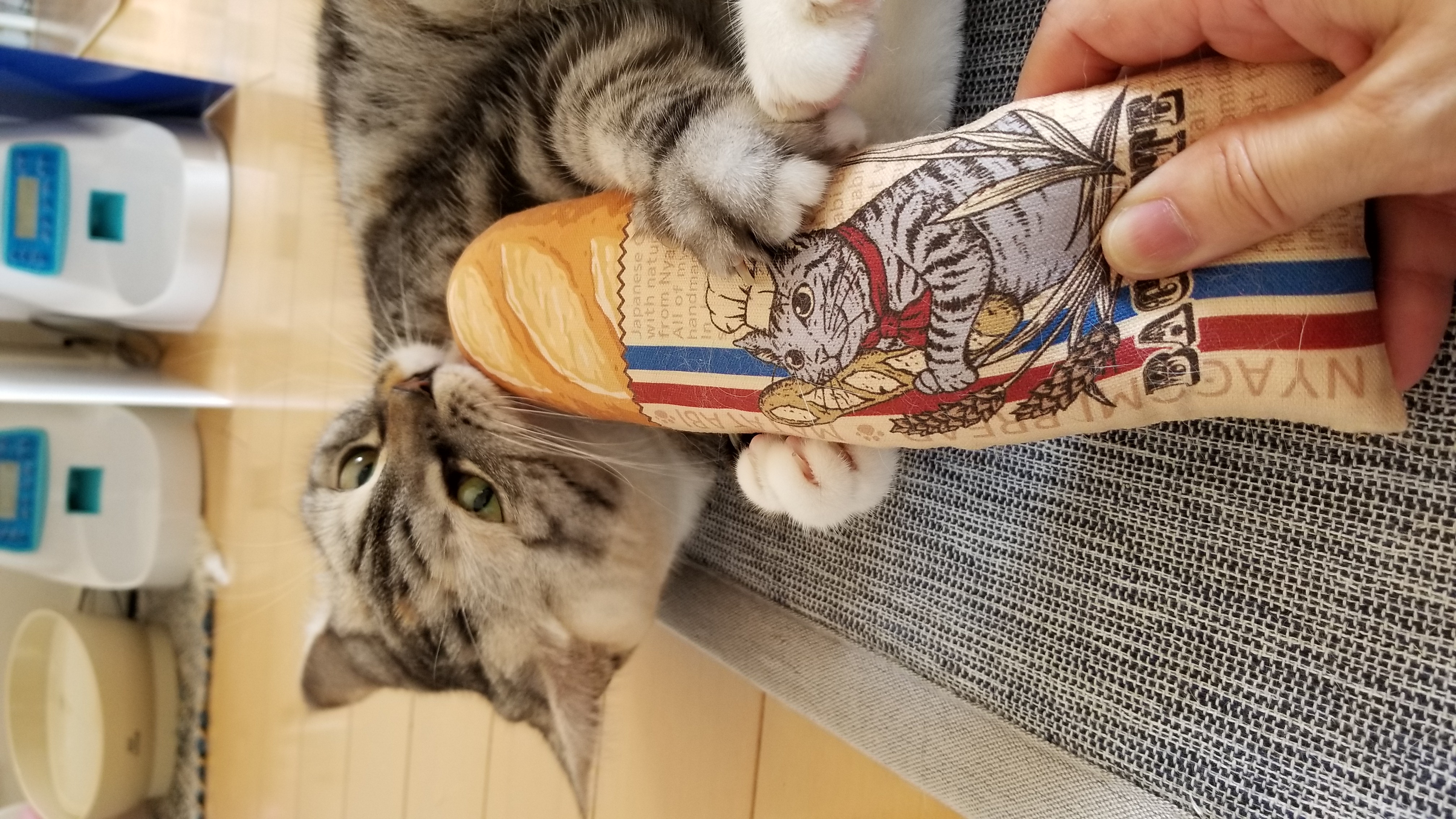 口コミ・レビュー｜にゃごみ処 またたび入り猫キッカー｜ 猫用おもちゃ 