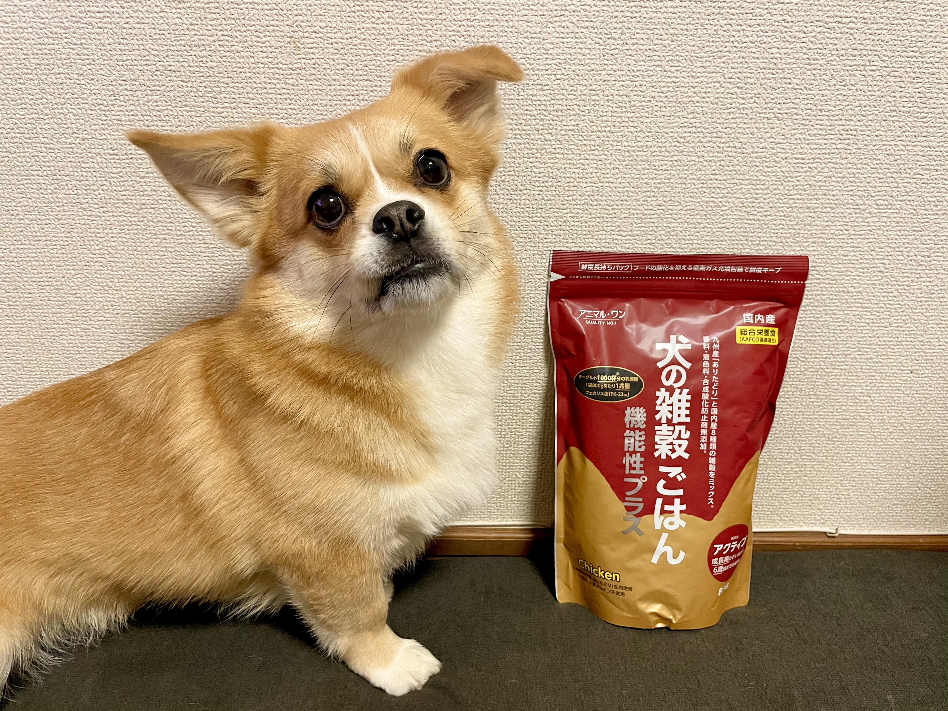 口コミ レビュー 犬の雑穀ごはん 機能性アクティブチキン 犬用ドライフード プレミアムフード ペット用品の通販サイト ペピイ Peppy