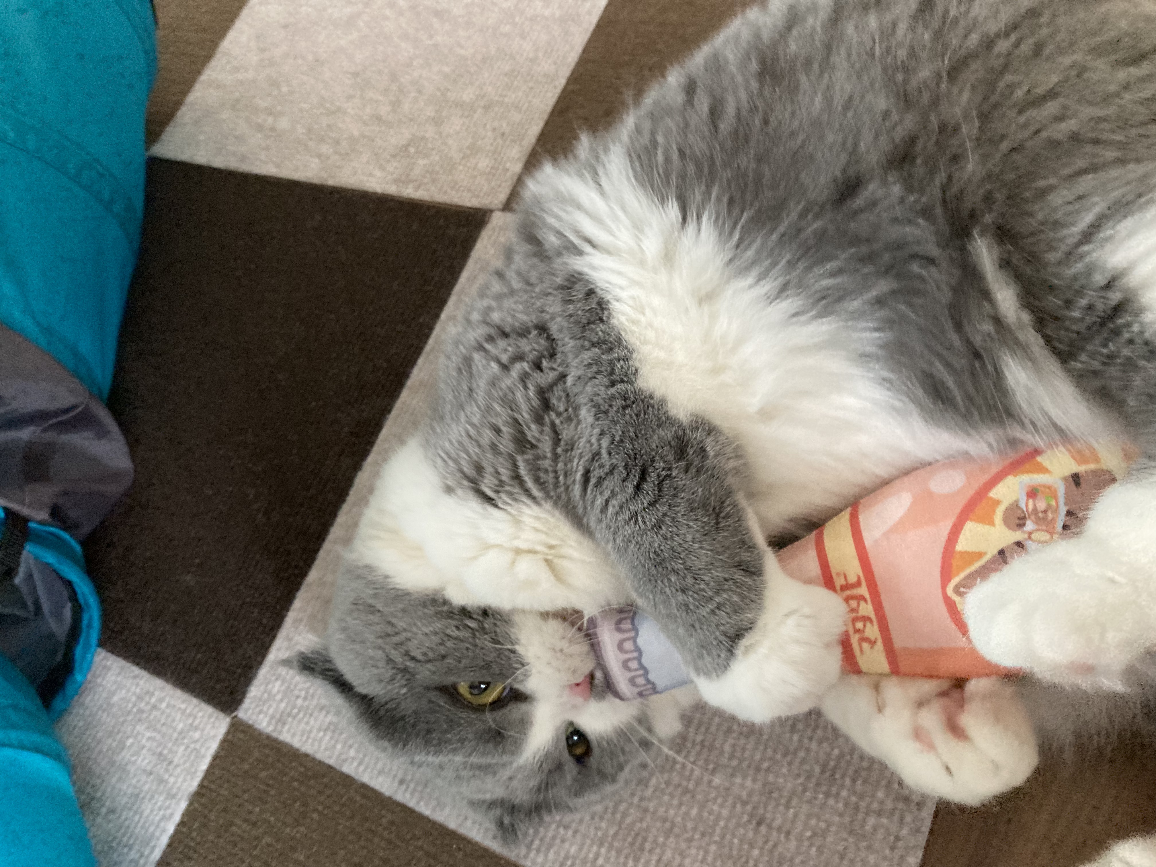 口コミ・レビュー｜にゃごみ処 またたび入り猫キッカー｜ 猫用おもちゃ 