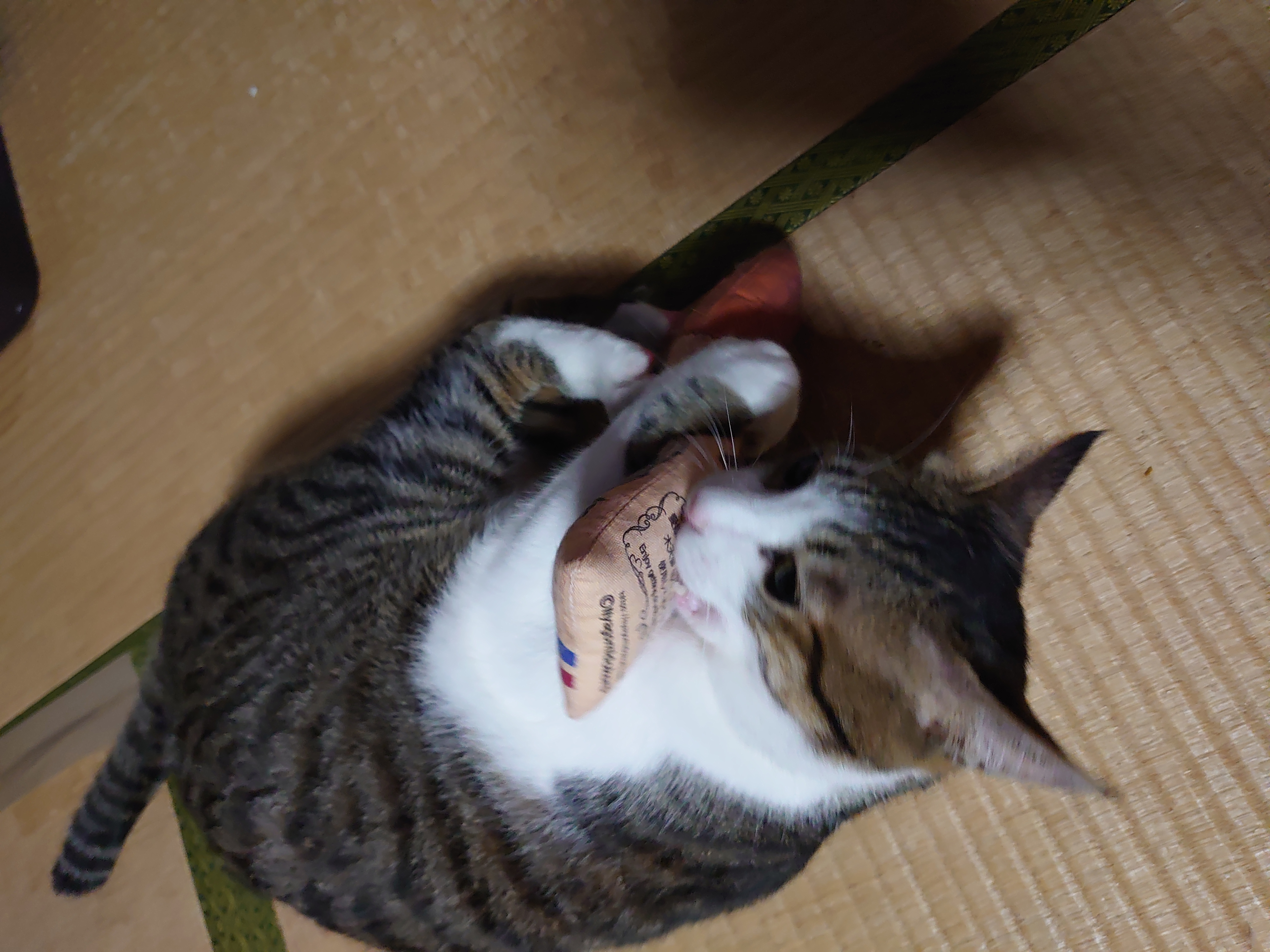 口コミ・レビュー｜にゃごみ処 またたび入り猫キッカー｜ 猫用おもちゃ 